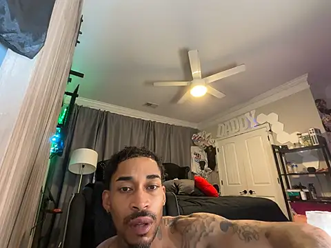 StillArQuez online show from 07.22.26