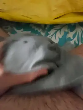 Snapshot of birzevkmeselesi chatting on 02.10.26 birzevkmeselesi online show from 02.10.26