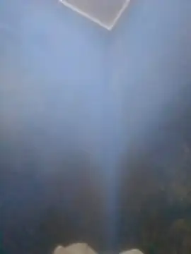 S7LEALTADPERVLIMA7 online show from 04.12.26