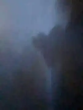 S7LEALTADPERVLIMA7 online show from 04.21.26