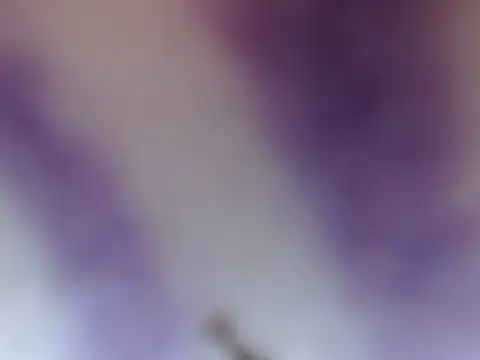 Snapshot of ELIZA_01 chatting on 02.08.26 ELIZA 01 online show from 02.08.26