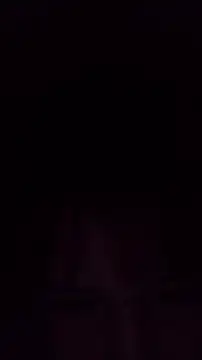 TululipuZ online show from 02.28.26