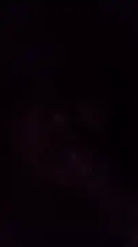 TululipuZ online show from 03.29.26