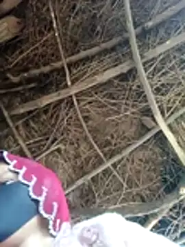 Meena sakshi online show from 02.02.26