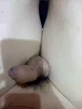 Snapshot of dallm5 chatting on 03.05.26 dallm5 online show from 03.05.26