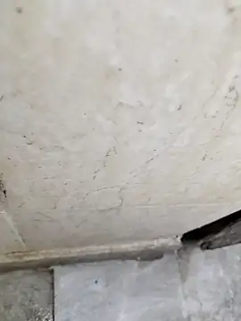 basyo2 online show from 04.24.26