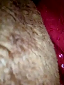 Talkwithsex online show from 04.01.26