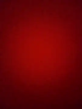 Snapshot of Pelloz chatting on 02.04.26 Pelloz online show from 02.04.26