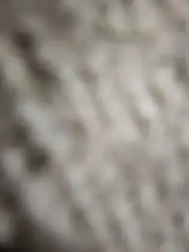 Flexxxo09 online show from 02.04.26