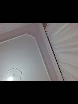 Snapshot of boraaily chatting on 02.19.26 boraaily online show from 02.19.26