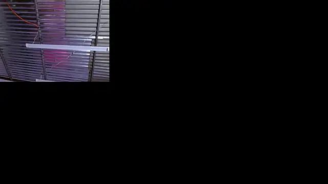 sophi and coby online show from 05.02.26