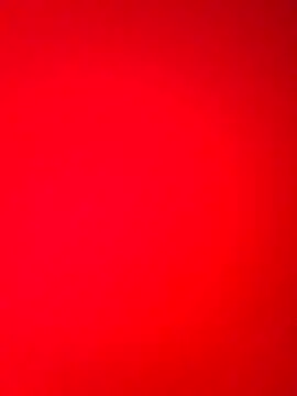 DocCock021 online show from 02.18.26