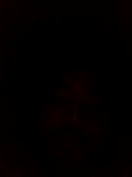 Snapshot of Frederico3302 chatting on 03.02.26 Frederico3302 online show from 03.02.26