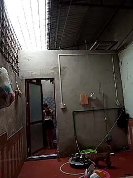 aiai220 online show from 05.06.26