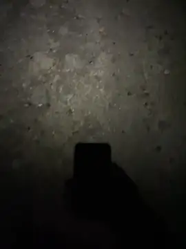 stallone italiano 62 online show from 02.17.26