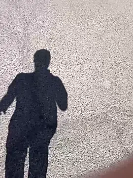 stallone italiano 62 online show from 03.17.26