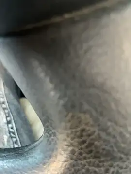 stallone italiano 62 online show from 04.11.26