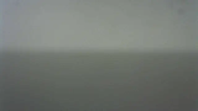 Snapshot of Thommas8a chatting on 02.22.26 Thommas8a online show from 02.22.26