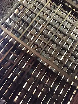 novinhavip777 online show from 02.09.26