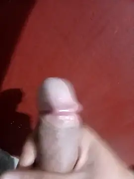 papi23l online show from 02.12.26