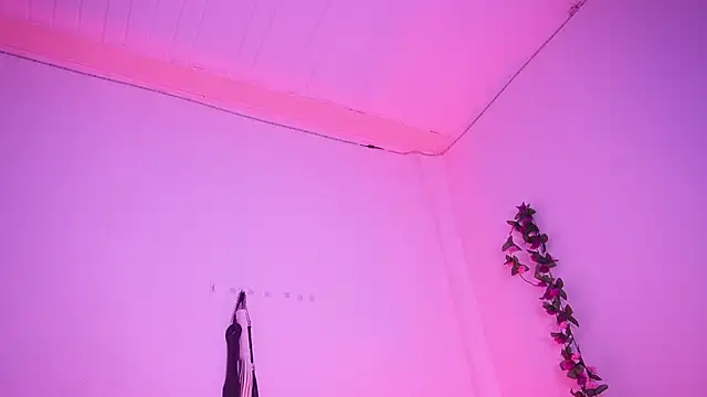 TiffanySander online show from 04.11.26