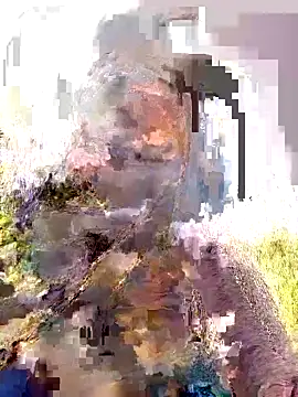 Pallavi hote online show from 02.22.26