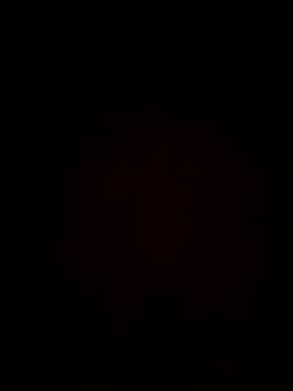 Snapshot of plump-bums chatting on 02.16.26 plump-bums online show from 02.16.26