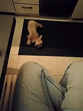 Ginevra01 online show from 03.09.26