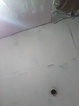 cobrosdepagos online show from 04.11.26