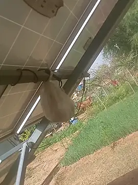 mastmalai online show from 03.17.26