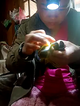 nelina 12345 online show from 03.23.26