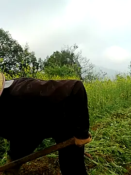 nelina 12345 online show from 03.26.26