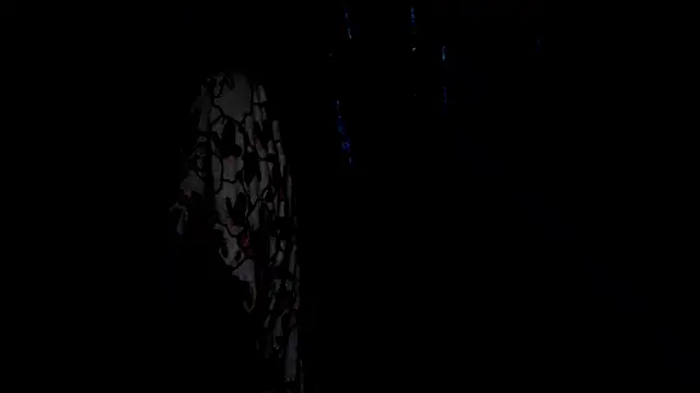 SassyXindian online show from 04.21.26