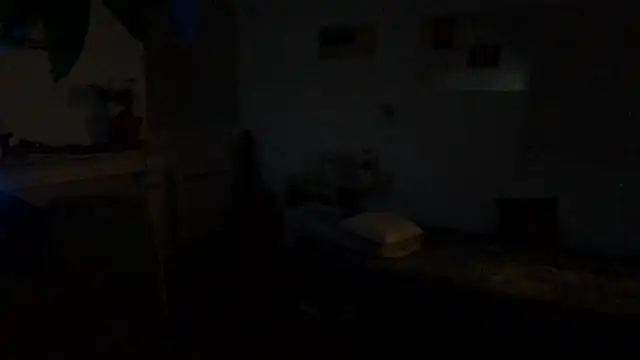 irohsako online show from 06.06.26
