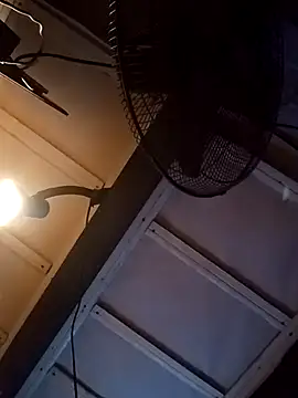 headfats369 online show from 03.06.26