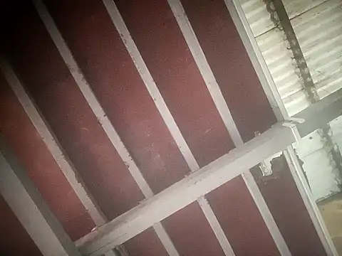 sex baby26 online show from 02.21.26