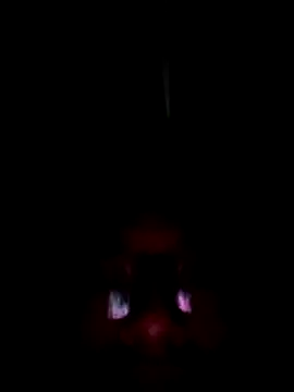 Rebexperience online show from 03.22.26