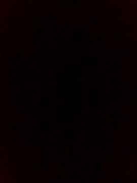 Snapshot of falcon2589 chatting on 02.25.26 falcon2589 online show from 02.25.26