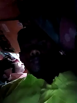 India-Sajan online show from 03.21.26