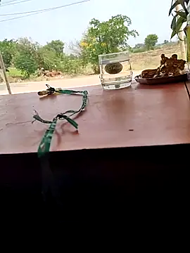 Chandu1245 online show from 04.11.26