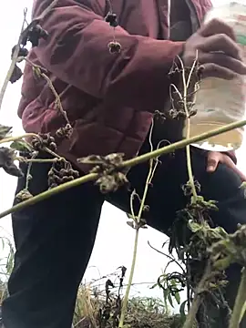 Nth5h online show from 03.11.26