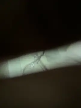 neekosam12 online show from 03.23.26