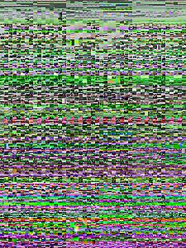 kana 0012 online show from 03.07.26