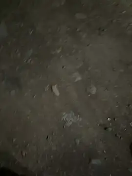 parth73637 online show from 02.23.26