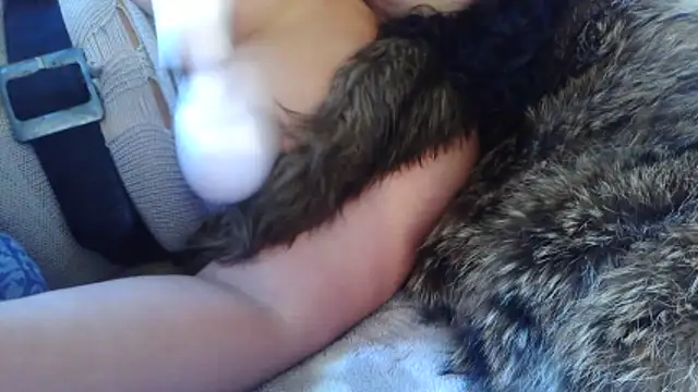 BunnyYT online show from 03.10.26