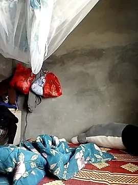 elen8800 online show from 03.02.26