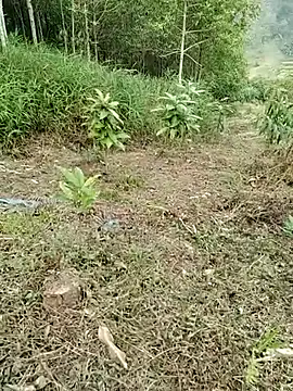 01 ANNA 01 online show from 03.27.26