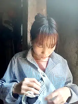 pic8800 online show from 03.26.26