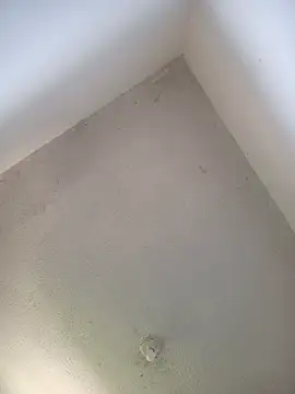 priscilaf online show from 04.19.26