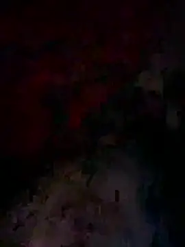 Snapshot of bwcyoussef chatting on 02.27.26 bwcyoussef online show from 02.27.26